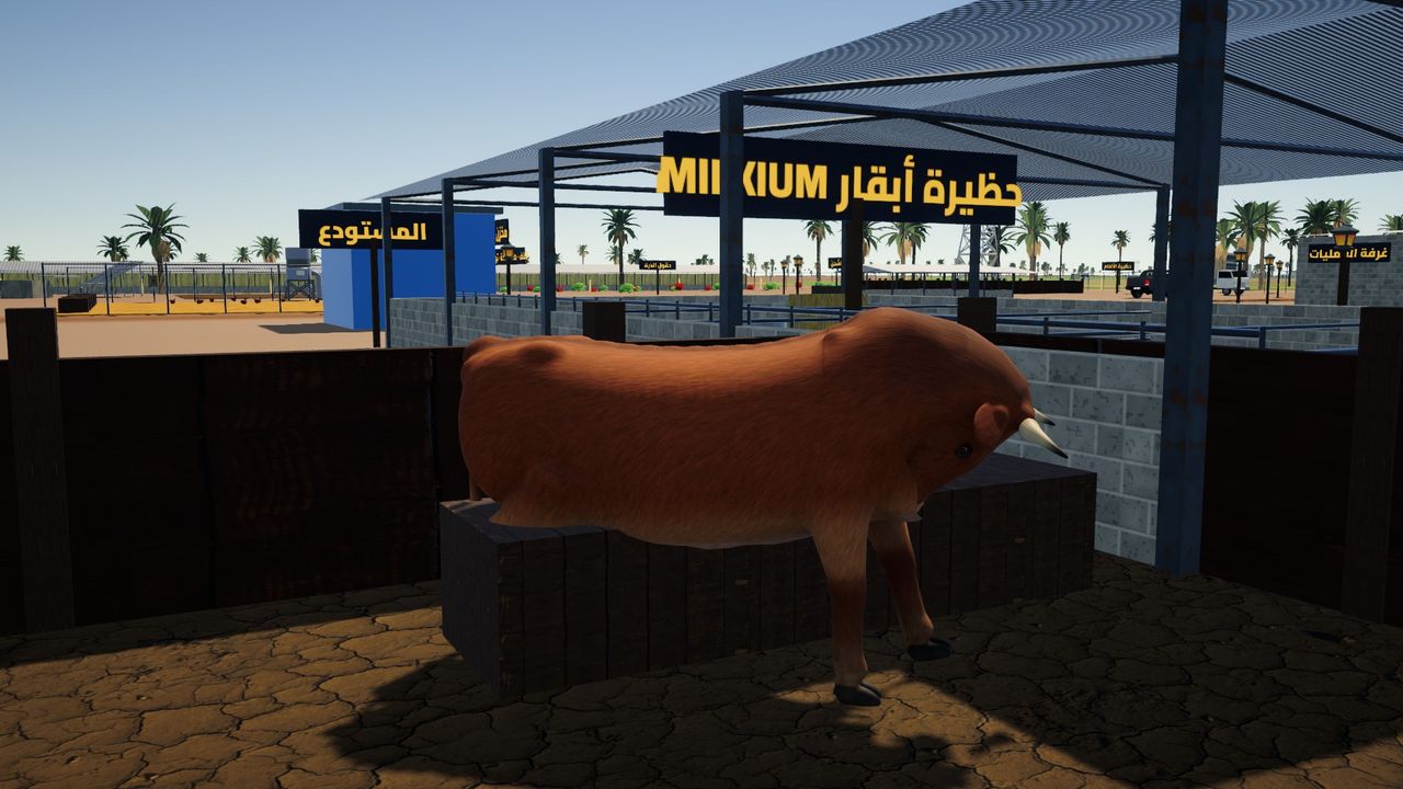 A cow in the cattle barn