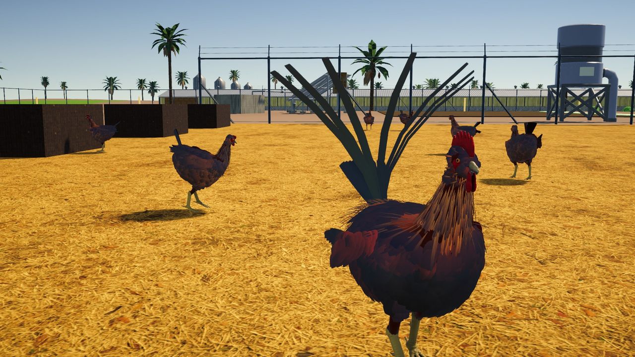 A rooster and hens in the coop